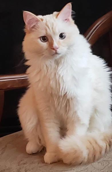 Sebastian