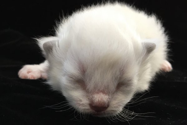 Precious!