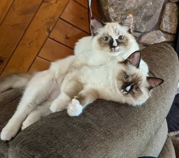 Two Siblings
