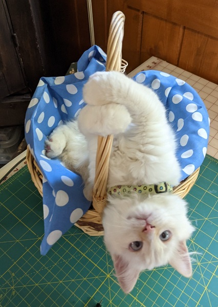 Leo
